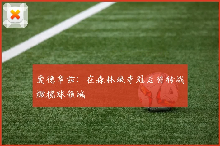 爱德华兹：在森林狼夺冠后将转战橄榄球领域