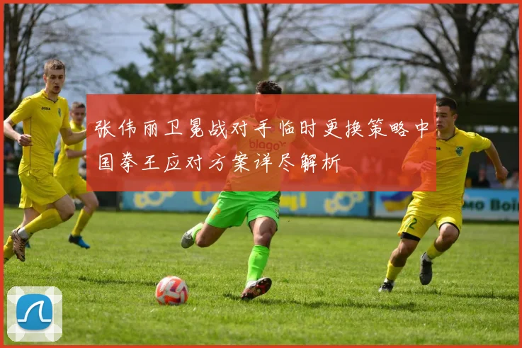 张伟丽卫冕战对手临时更换策略中国拳王应对方案详尽解析